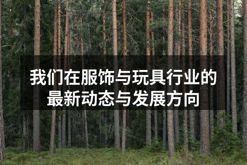 我们在服饰与玩具行业的最新动态与发展方向